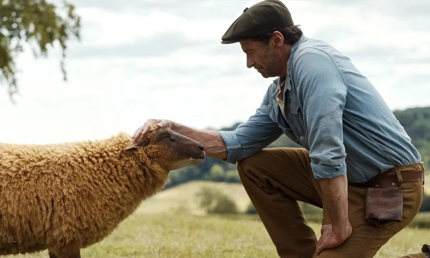 The Sheep Detectives